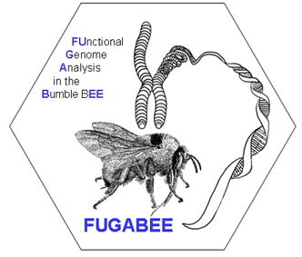 fugabee_logo